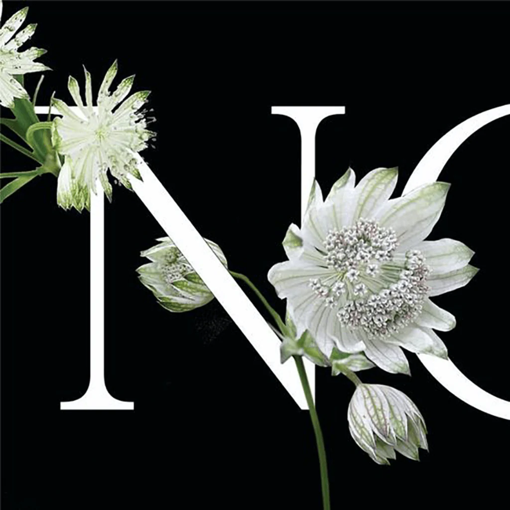 Astrance - Image 10