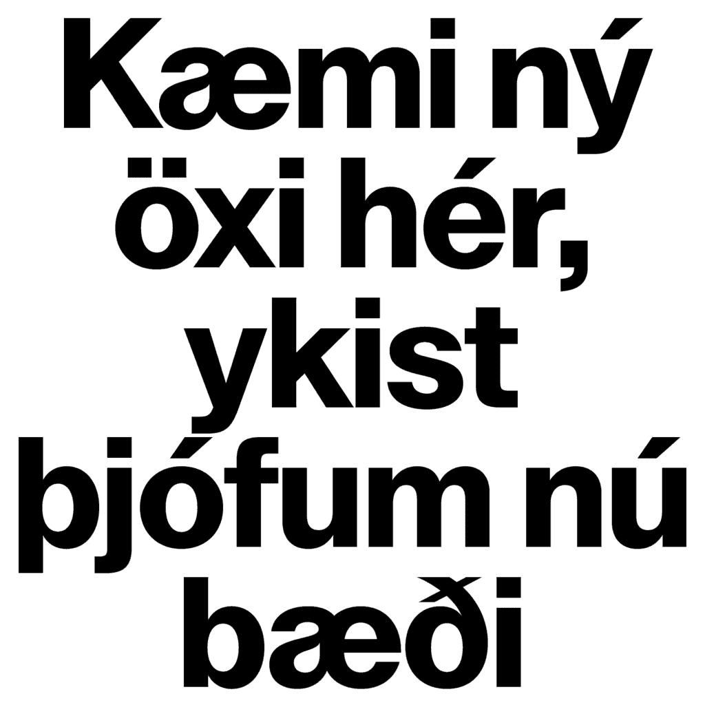 Lay Grotesk - Image 23
