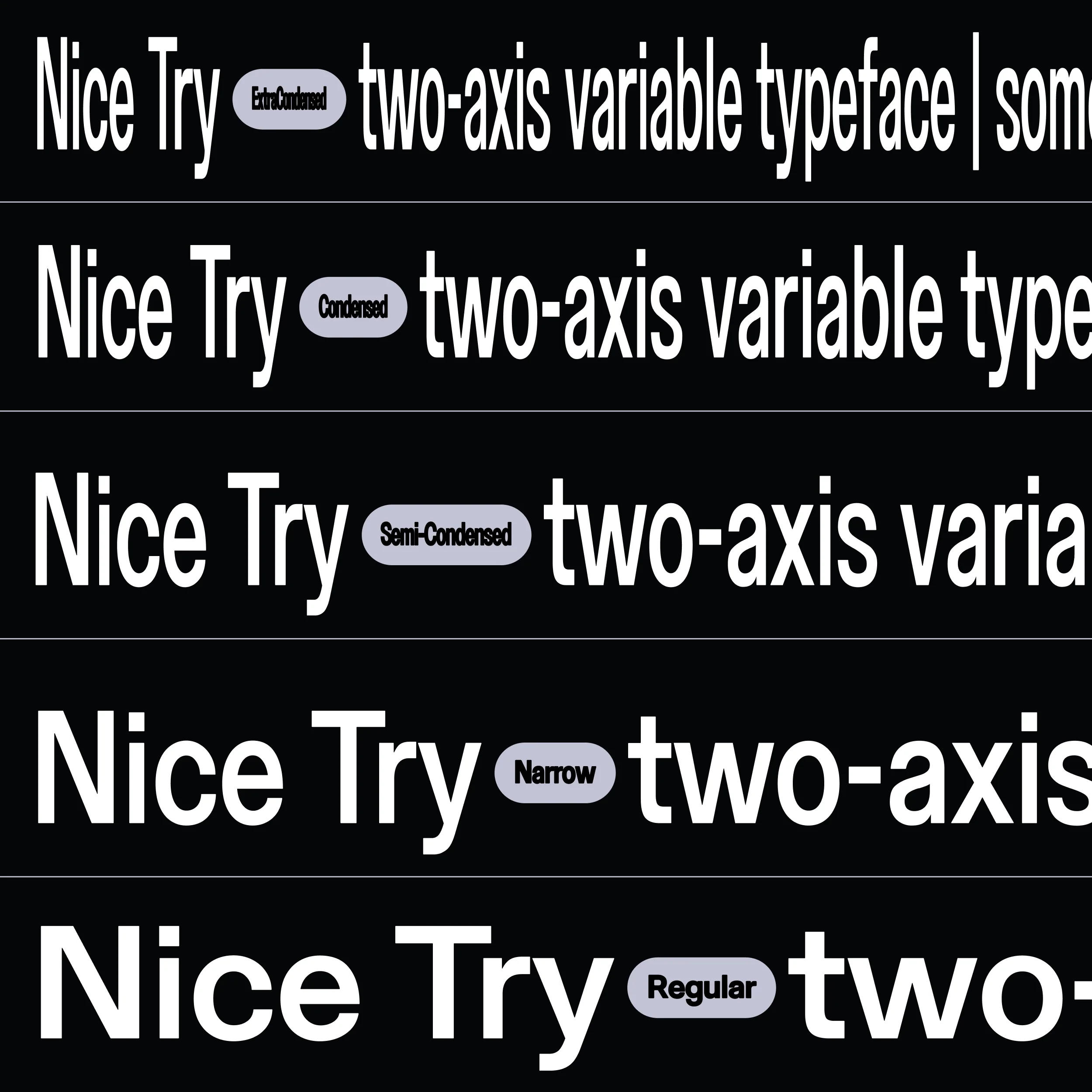Nice Try - Image 3