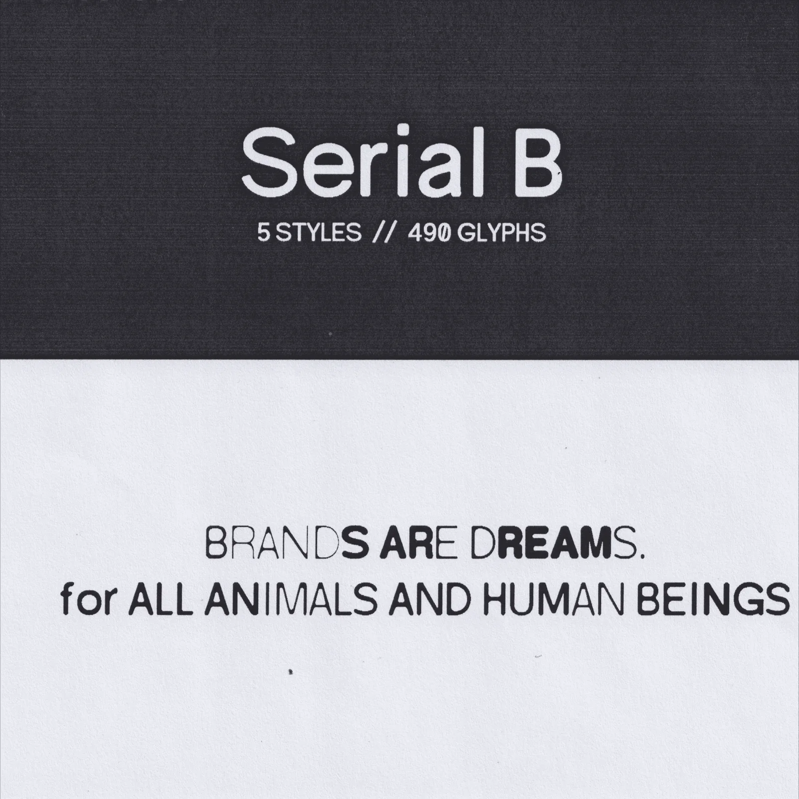 Serial B - Image 8